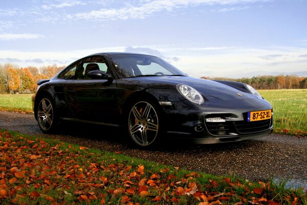 Voiture Porsche couleur noire sur fond de feuilles