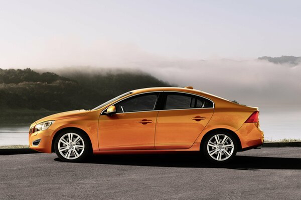 Coche naranja en medio de la niebla y el bosque