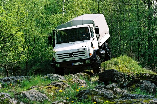 Ciężarówka Mercedes w lesie. drewno, kamienie, maszyna