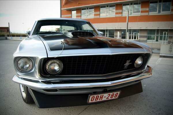 Ford Mustang grau mit schwarz