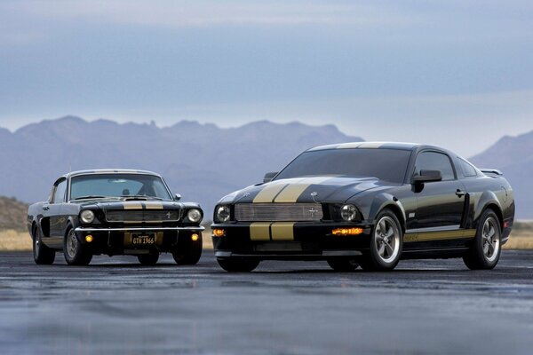 Deux Ford noires avec des rayures jaunes