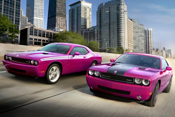 Two contenders for victory are racing along the road in pink cars