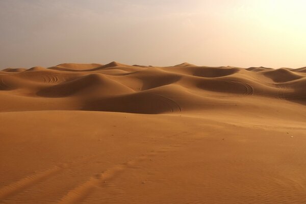 Footprints in the sand in the desert. Dunes