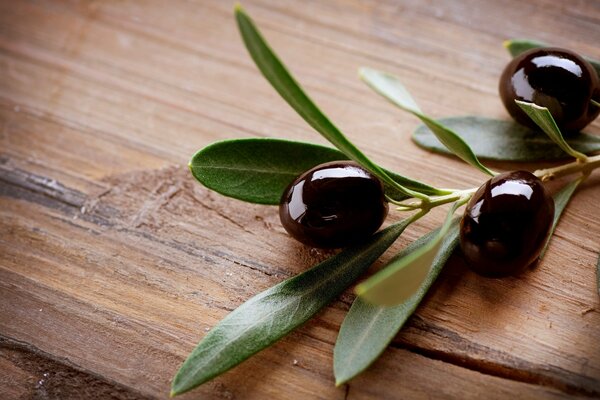 Ramita de aceitunas en una mesa de madera