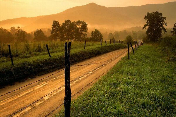 Along the road there is a fence protecting the grass and forest