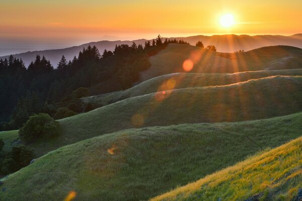 Morning dawn sunbeam