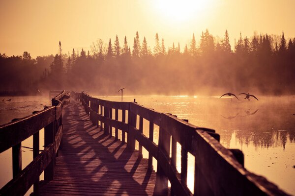 Most na rzece w promieniach słońca