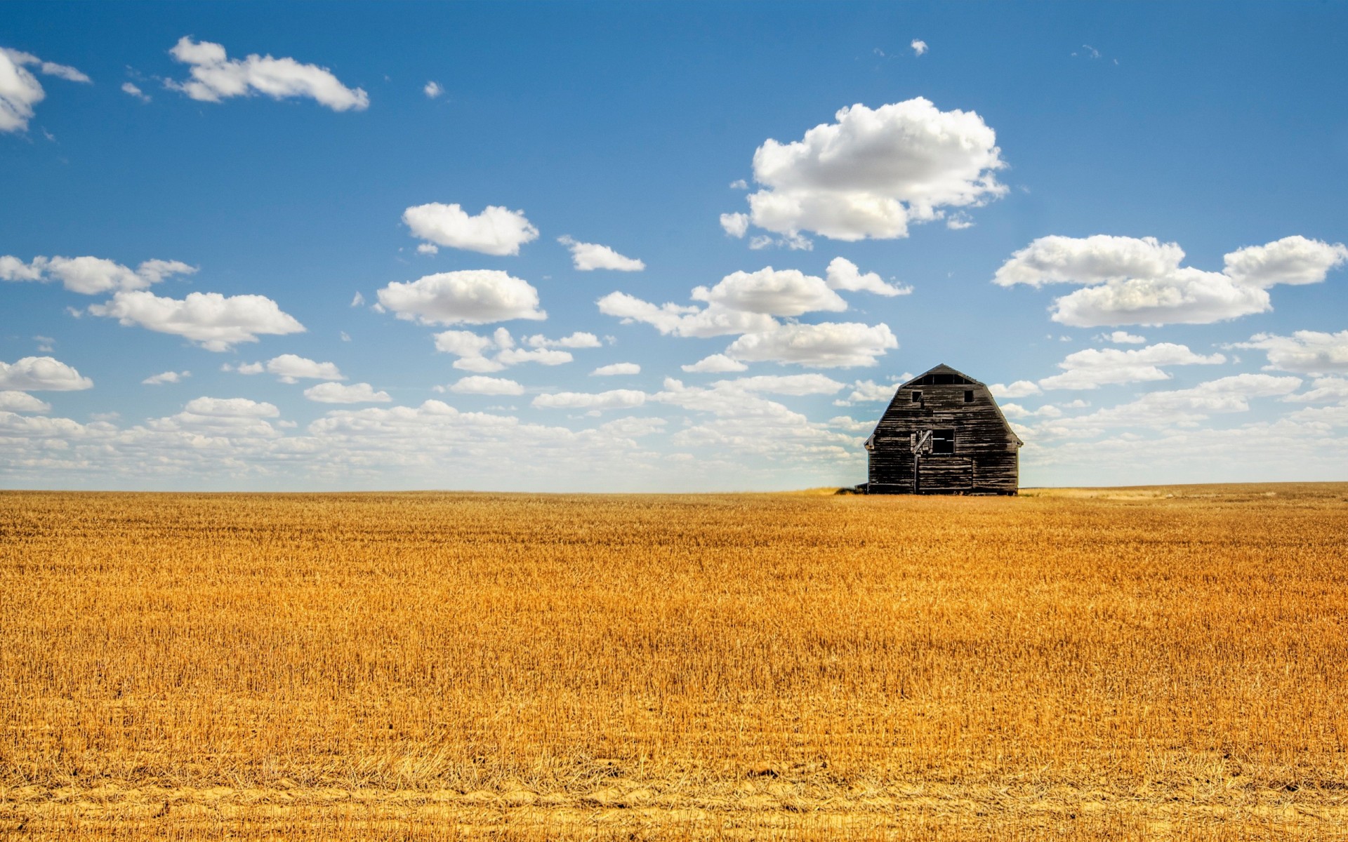 feld scheune wolken sommer