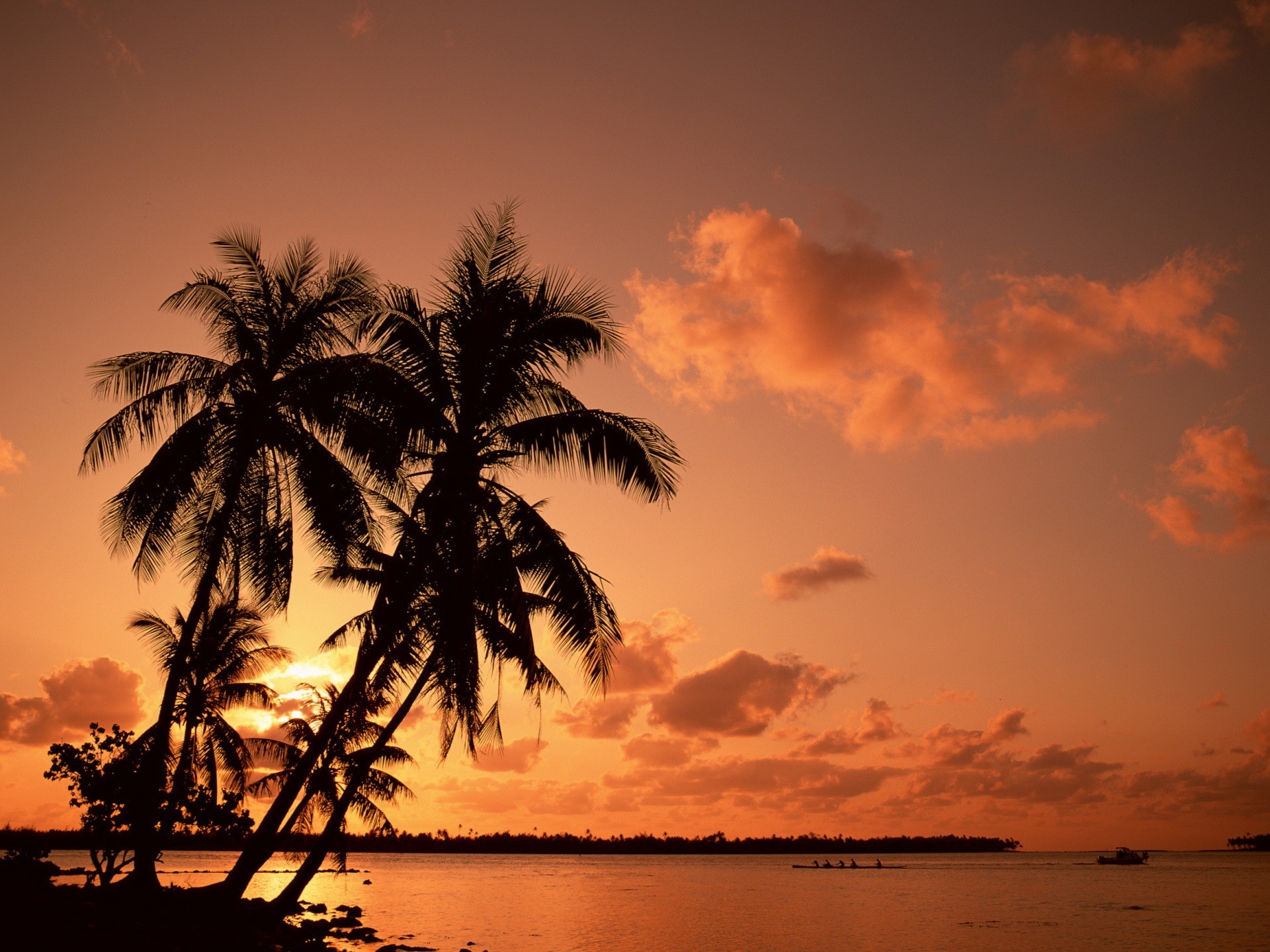 palmiers vacances coucher de soleil