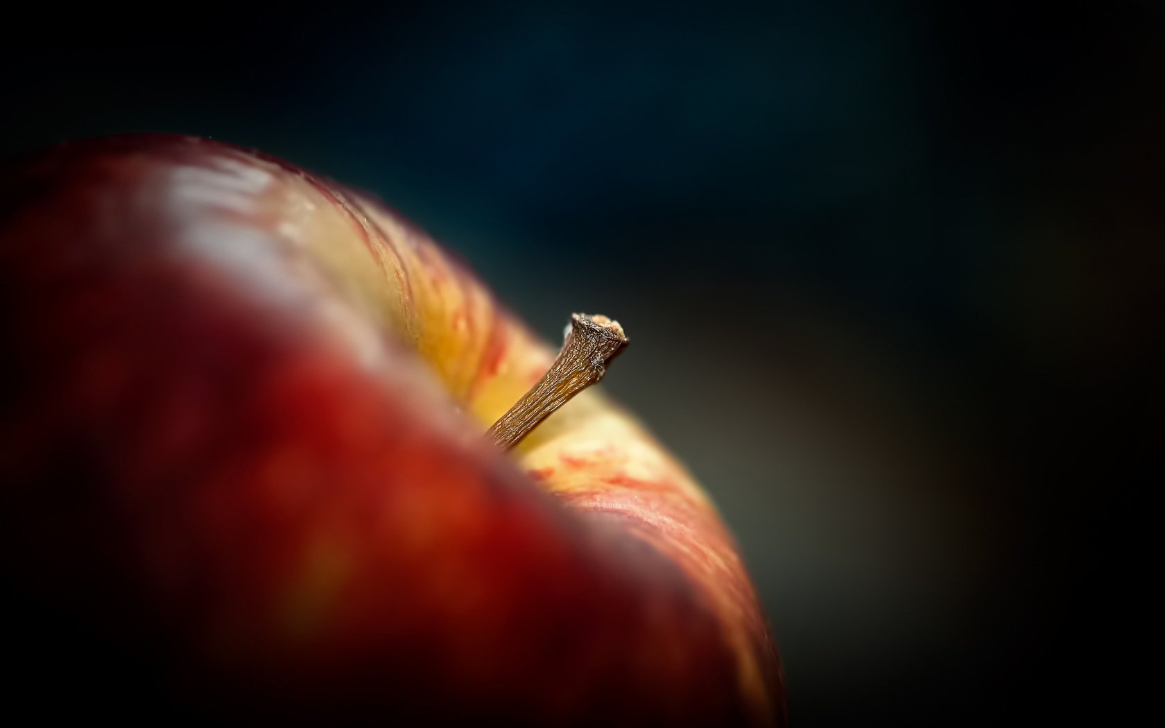 queue de cheval fond sombre pomme