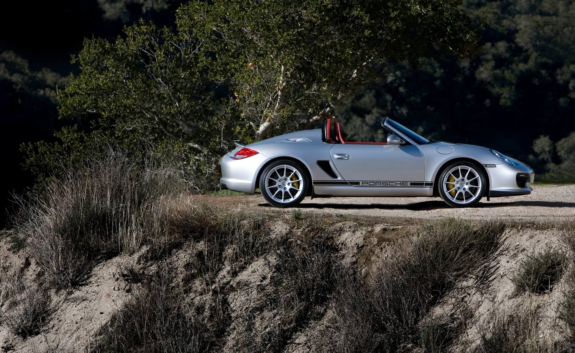 porsche plata tierra