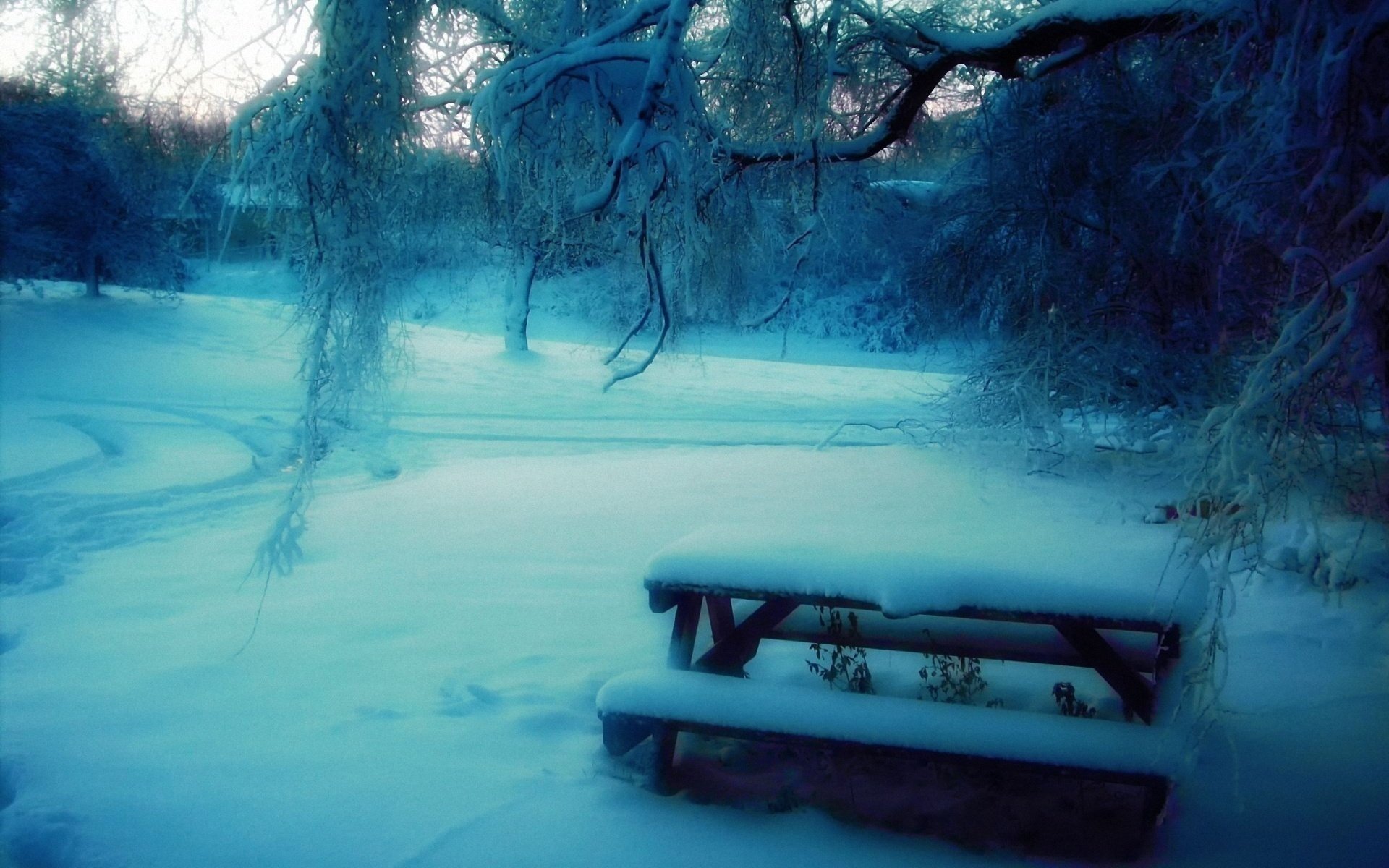 invierno desenfoque árboles nieve mesa banco parque