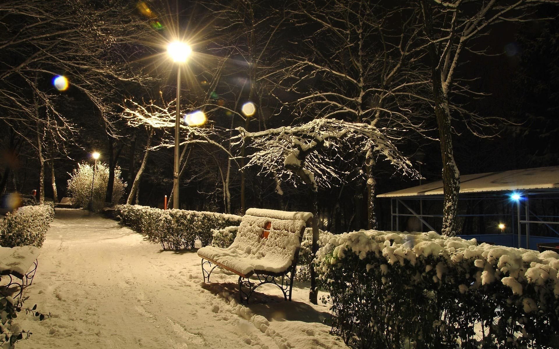 hiver lumière neige soirée banc arbres