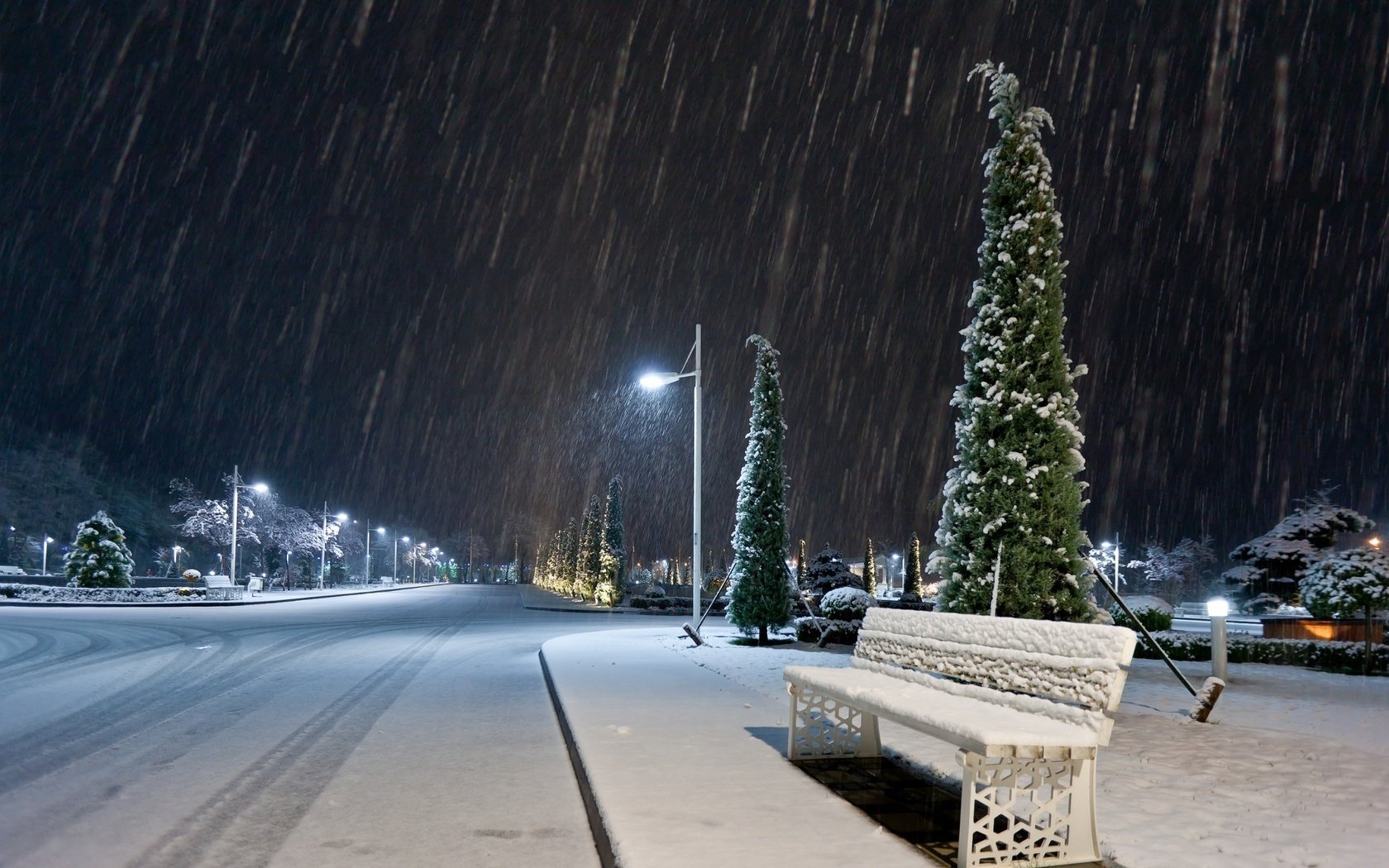 nuit arbres banc route