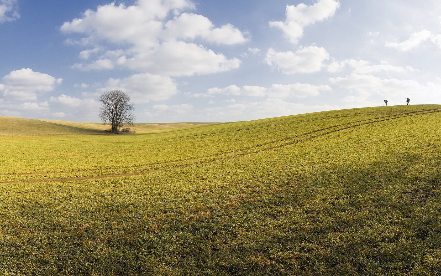 fotógrafos árbol campo primavera cielo