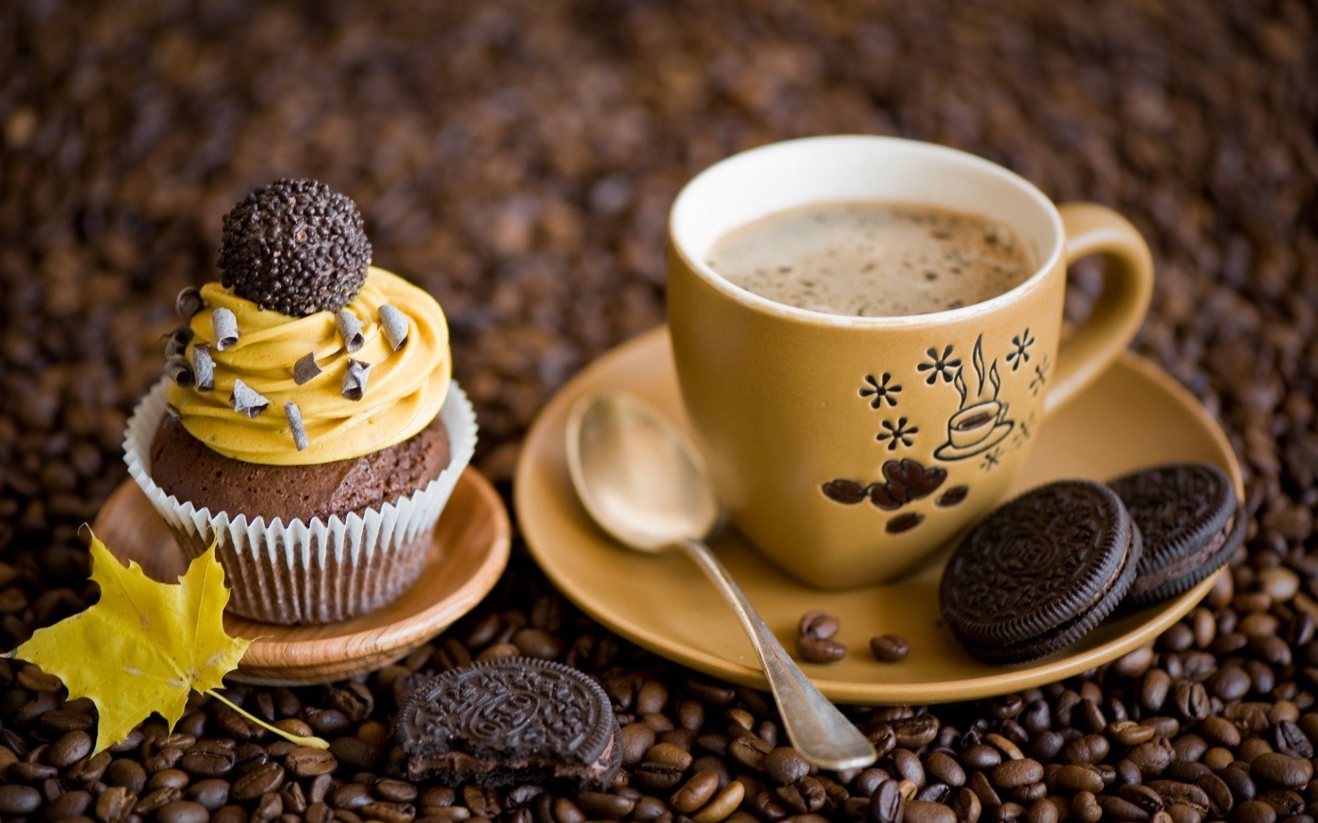 café grain cuillère biscuit feuille tasse