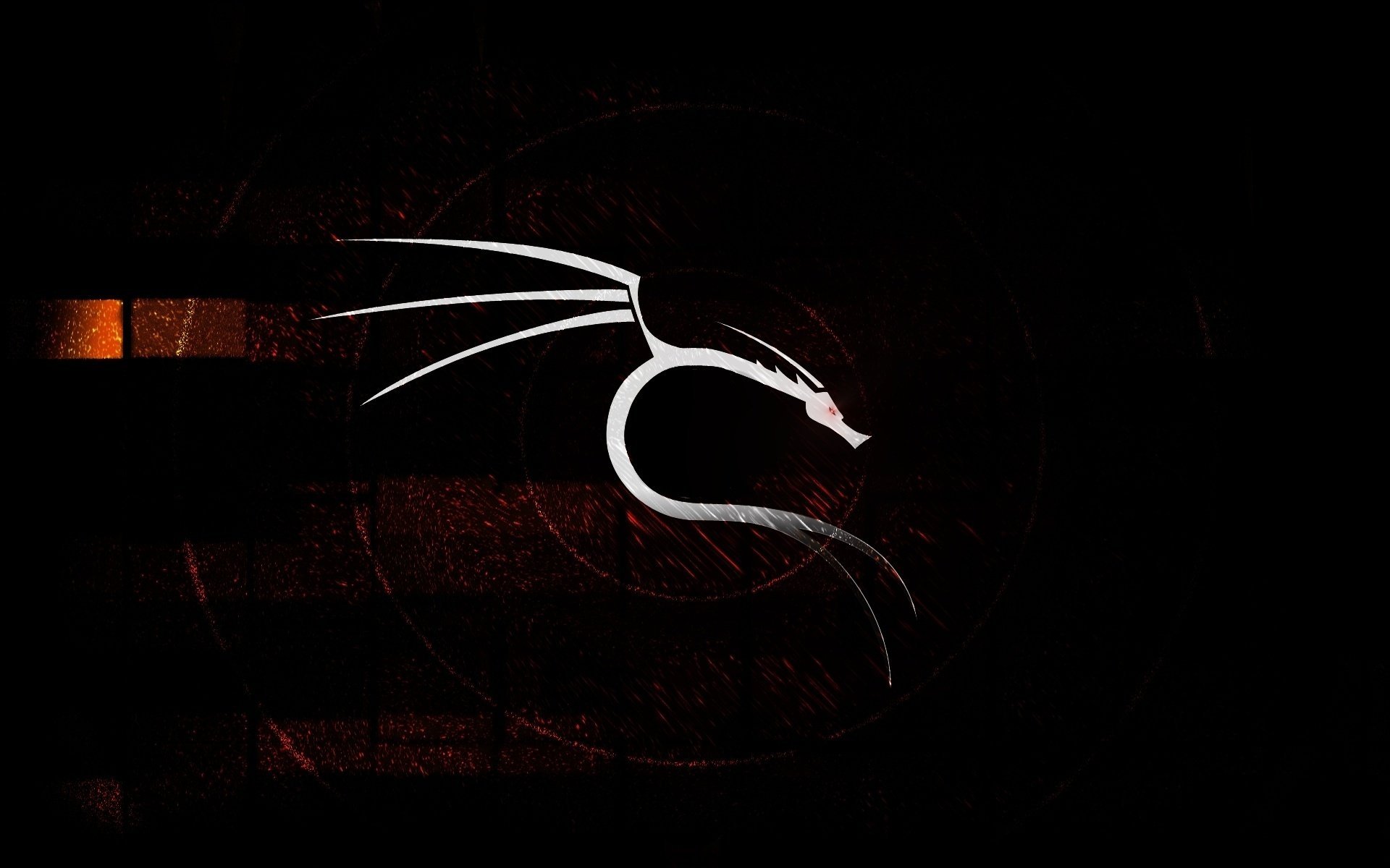 coming white black dragon 2012 background new year