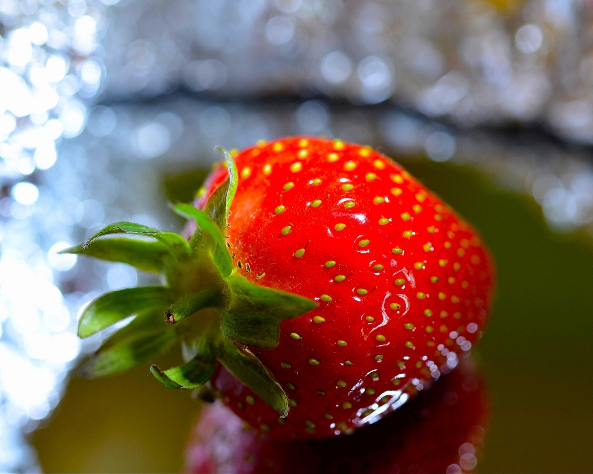 close up strawberry red berry