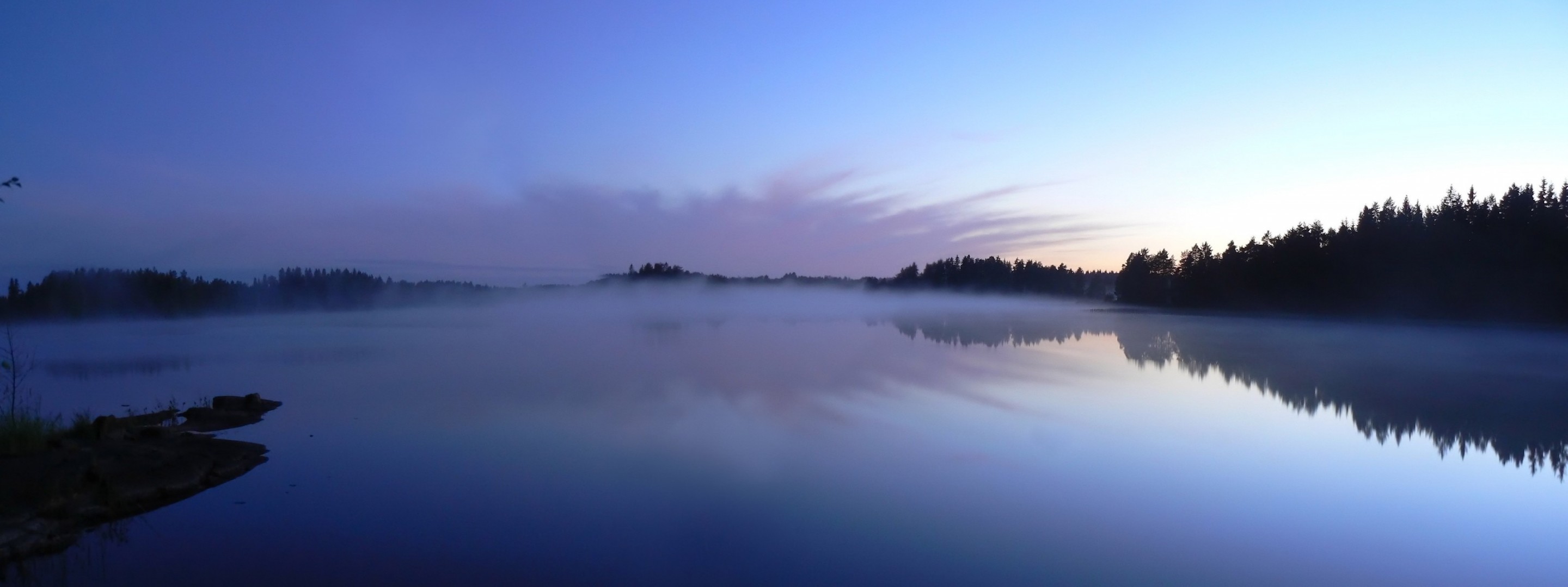 lac brouillard arbres réflexion