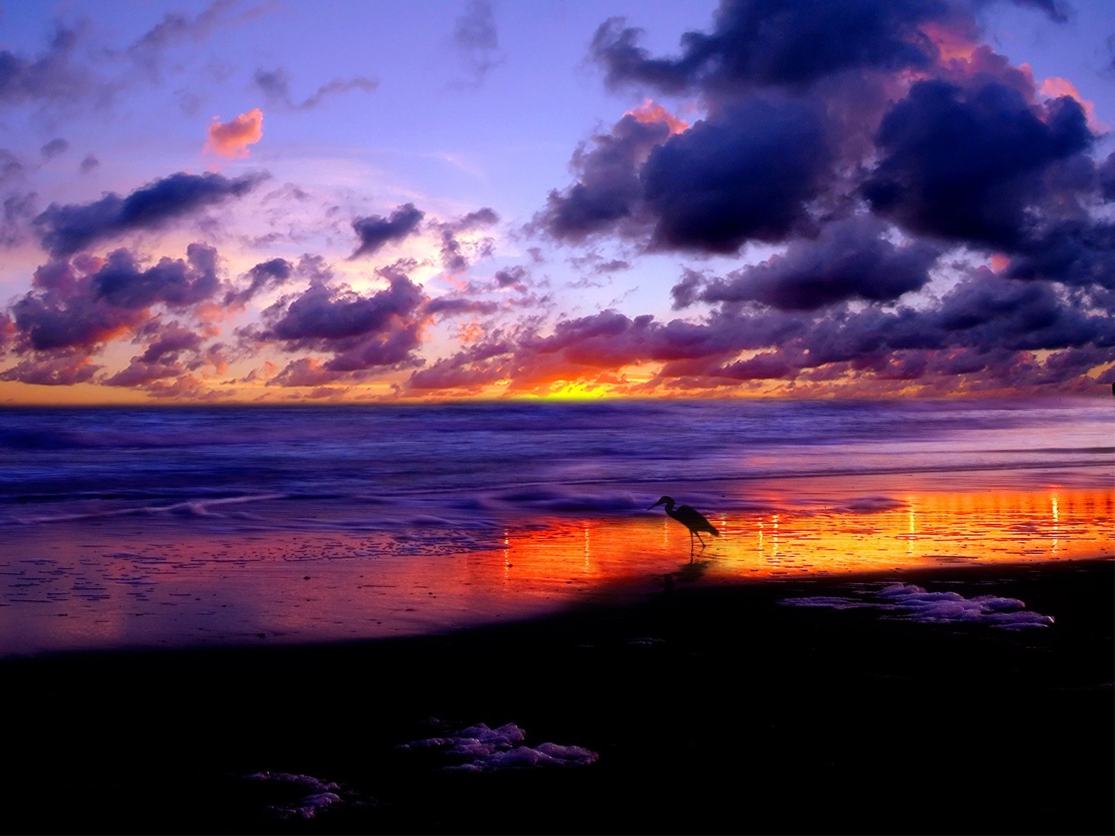 sonnenuntergang wolken meer storch