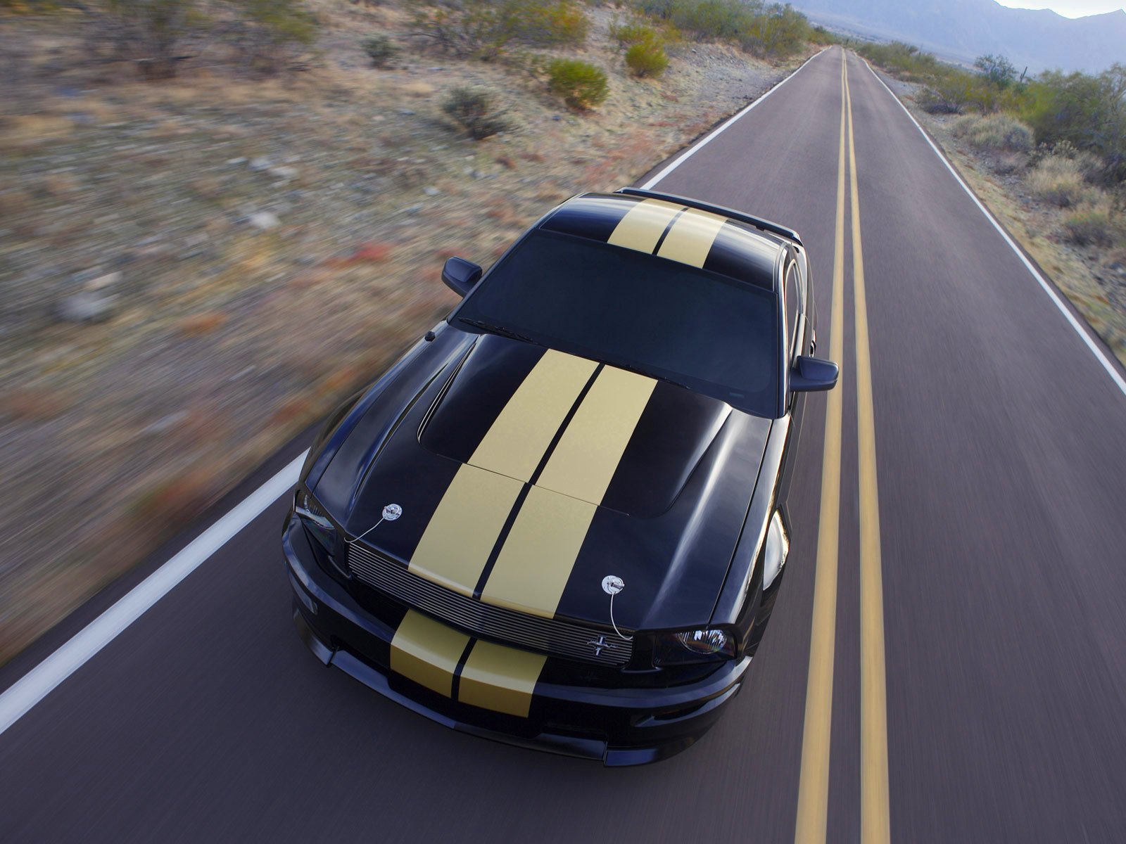 ford shelby gt-500 strisce strada