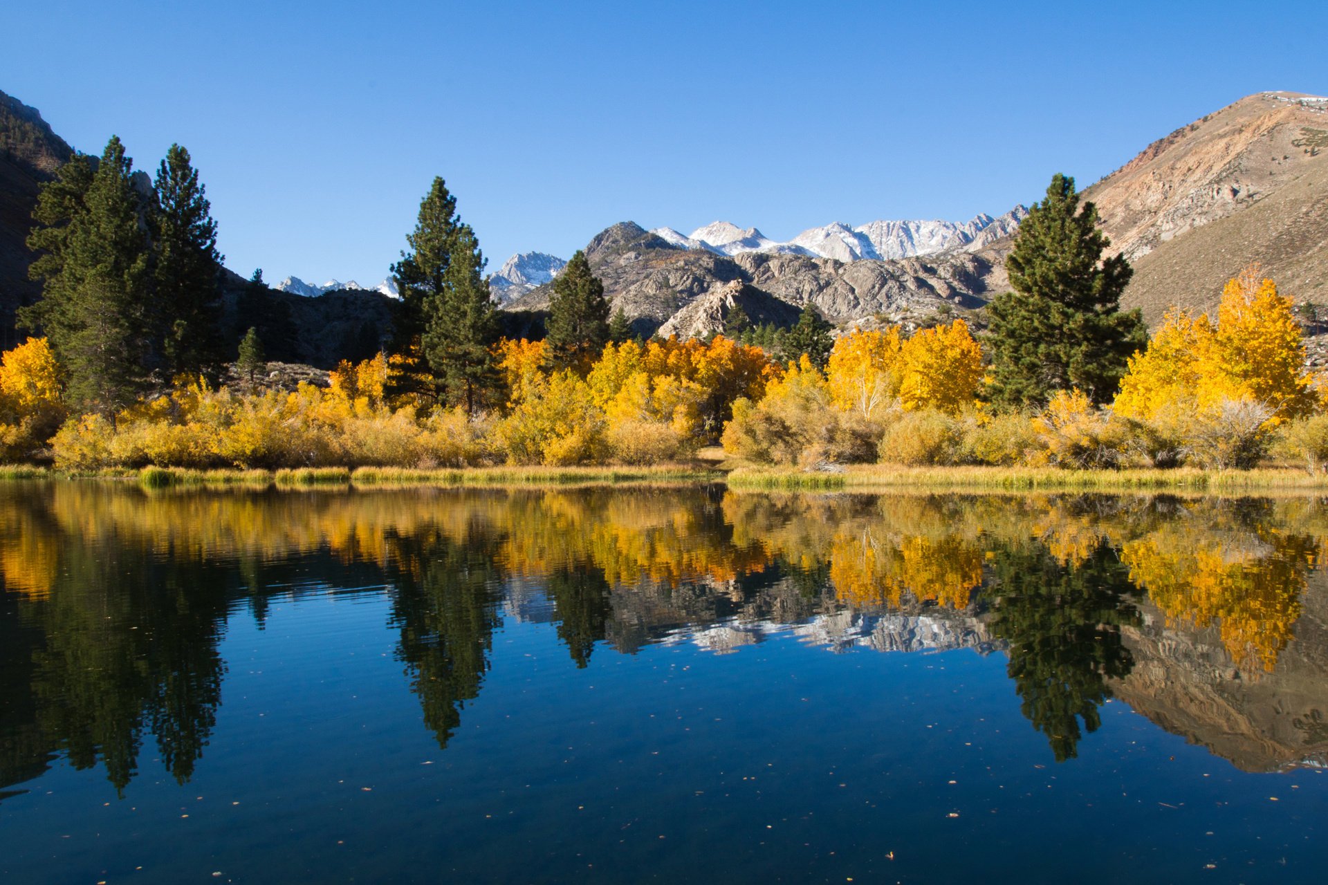 lake reflection autumn nature