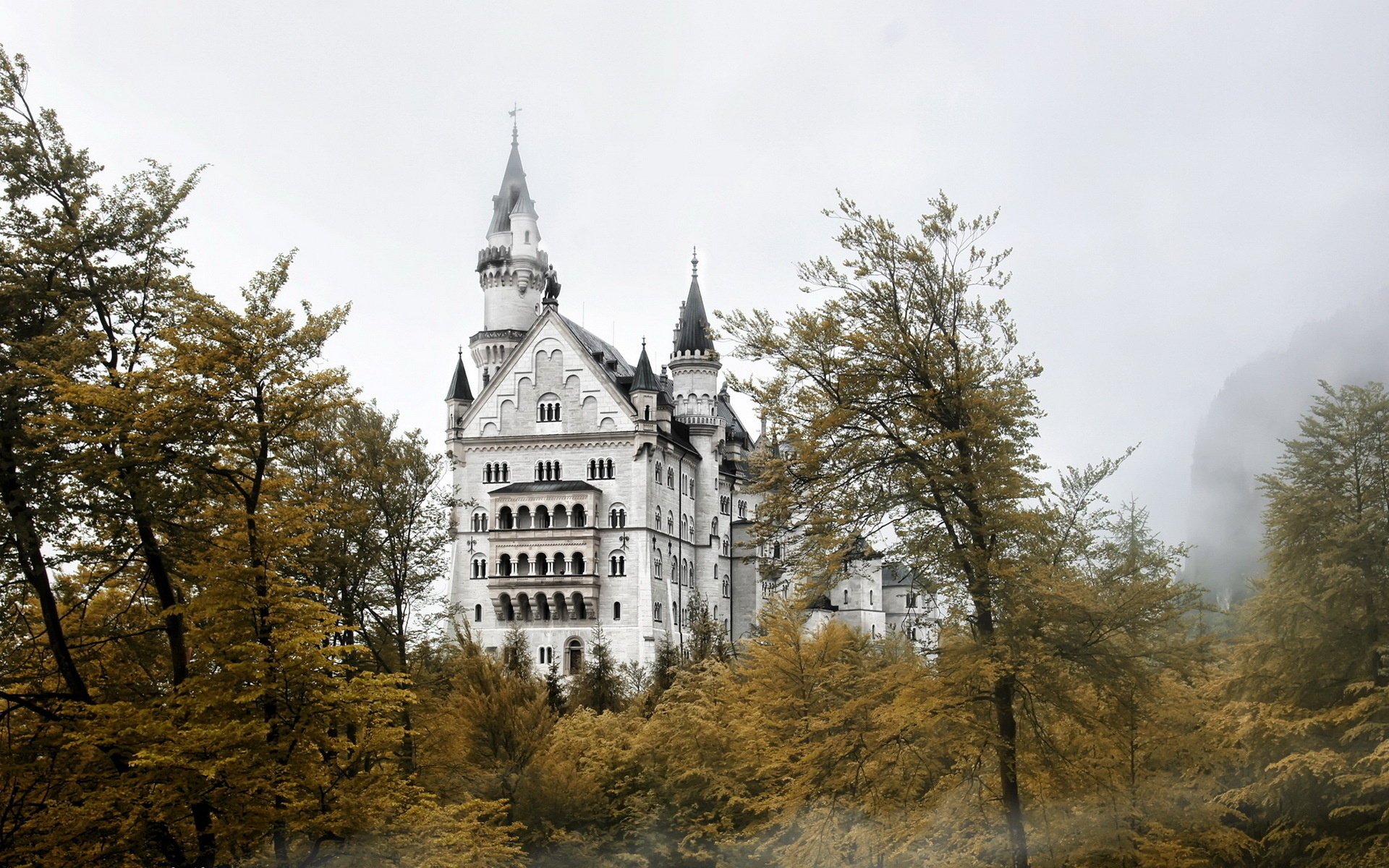 castle trees fog