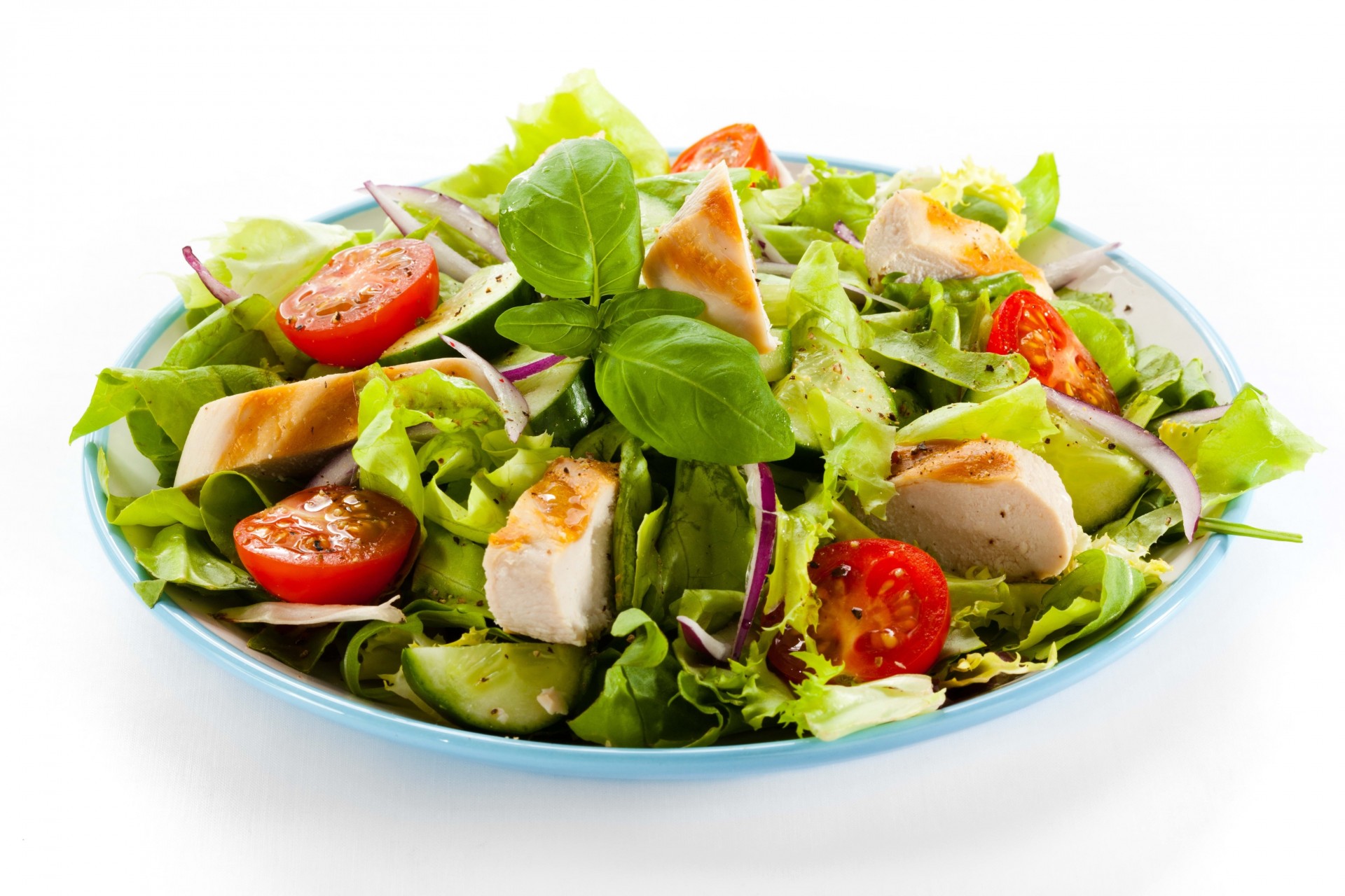 white background plate green salad