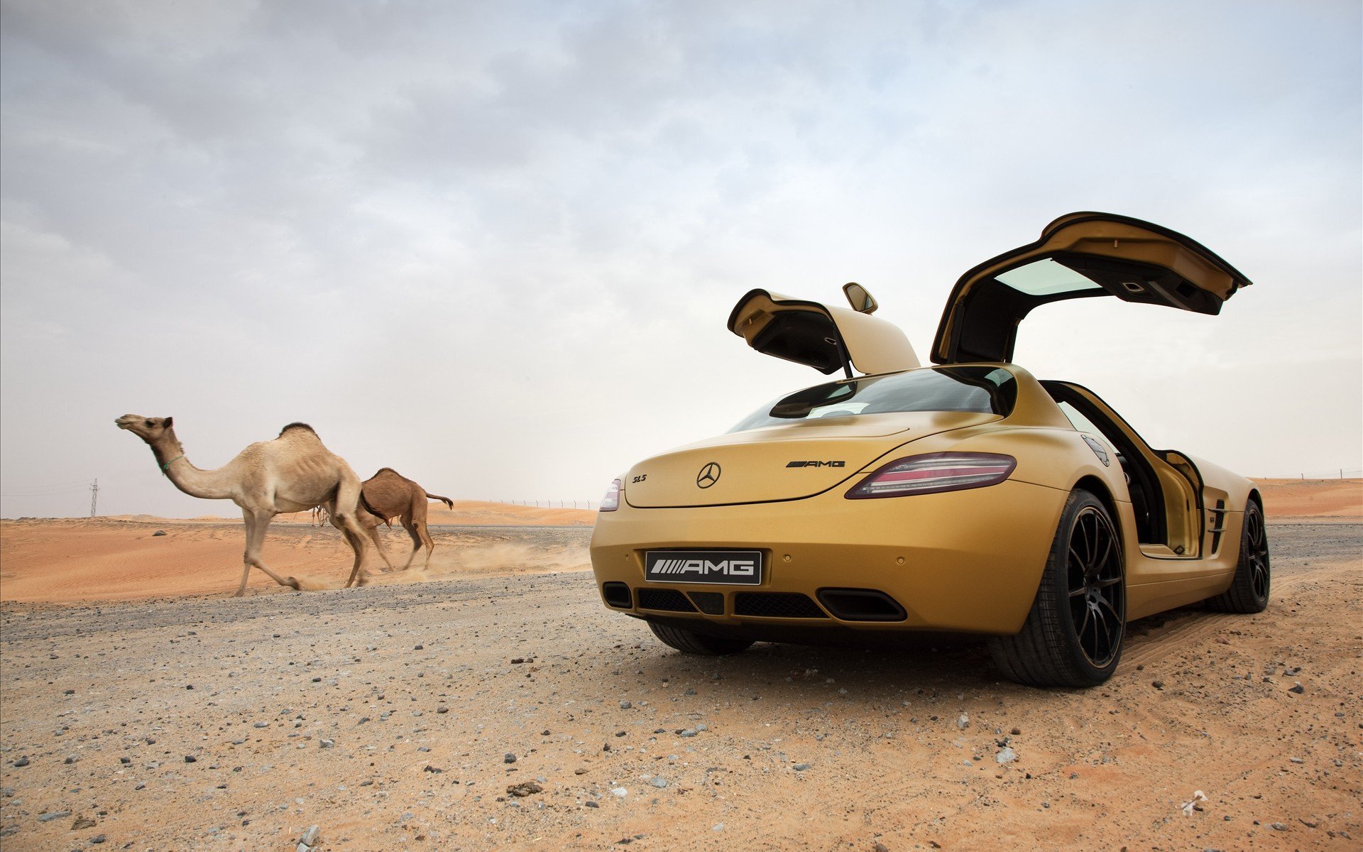 mercedes benz sls amg desert camel