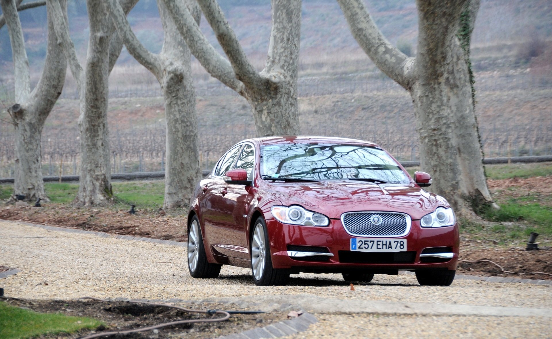 jaguar burgundy machinery