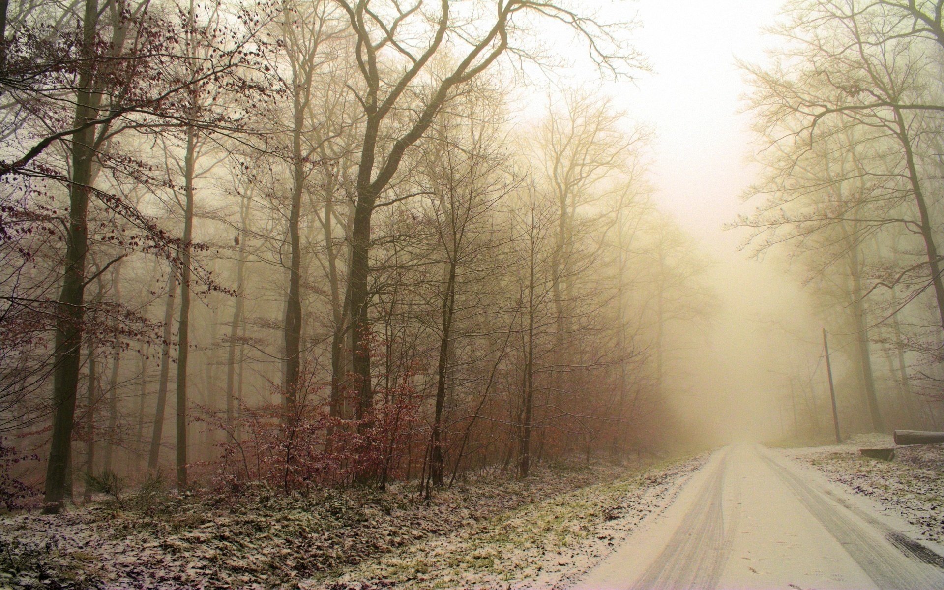 inverno strada tracce neve foresta alberi gelo