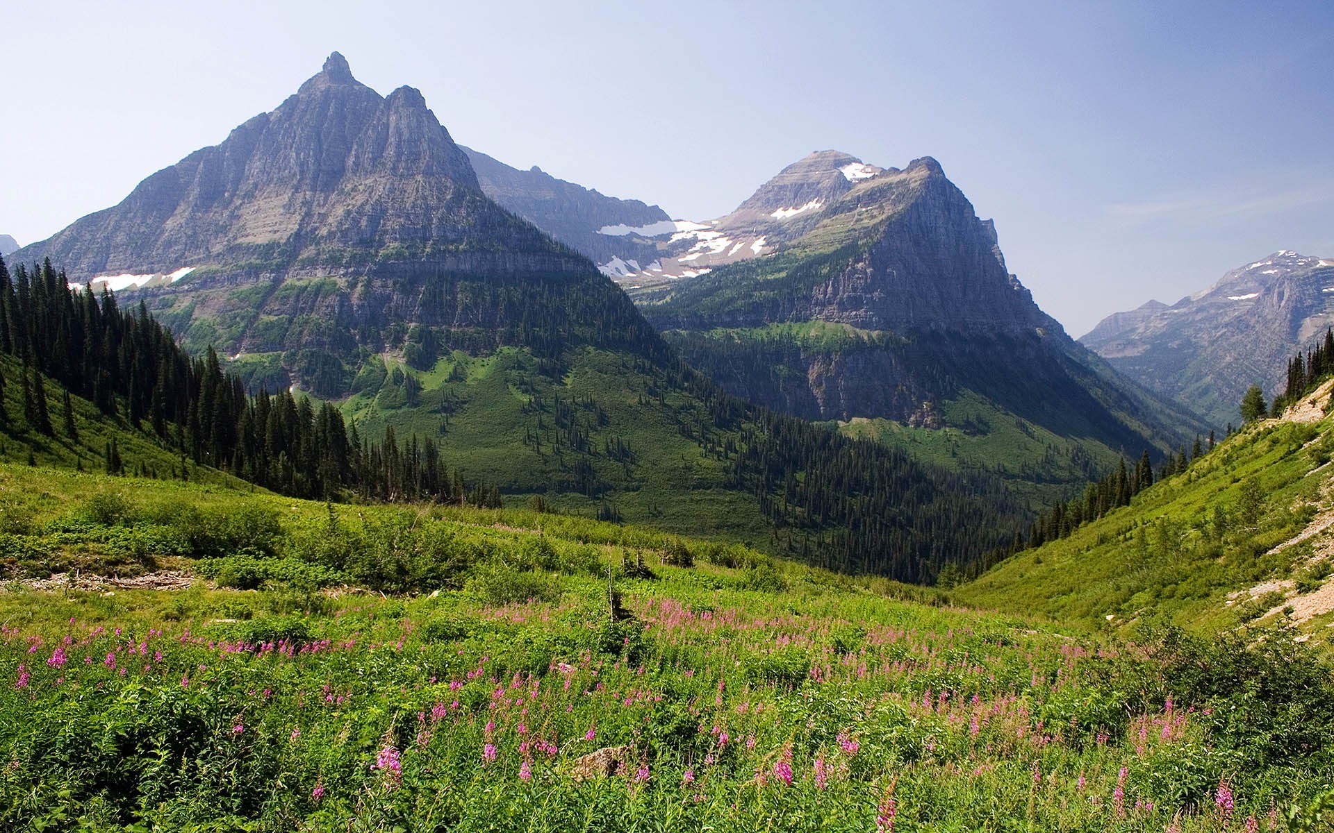 berge wiese wald