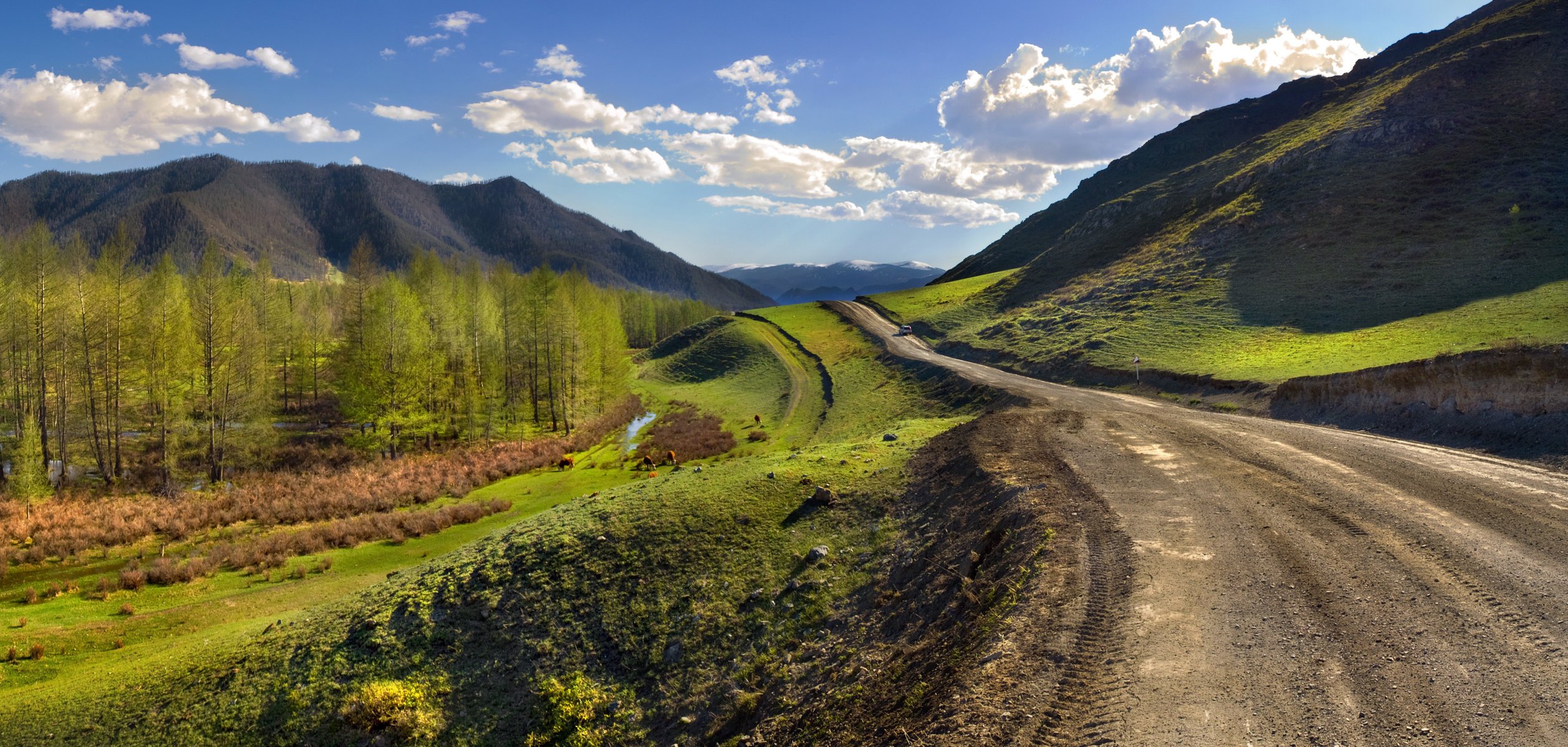 montaña altai carretera paisaje perspectiva