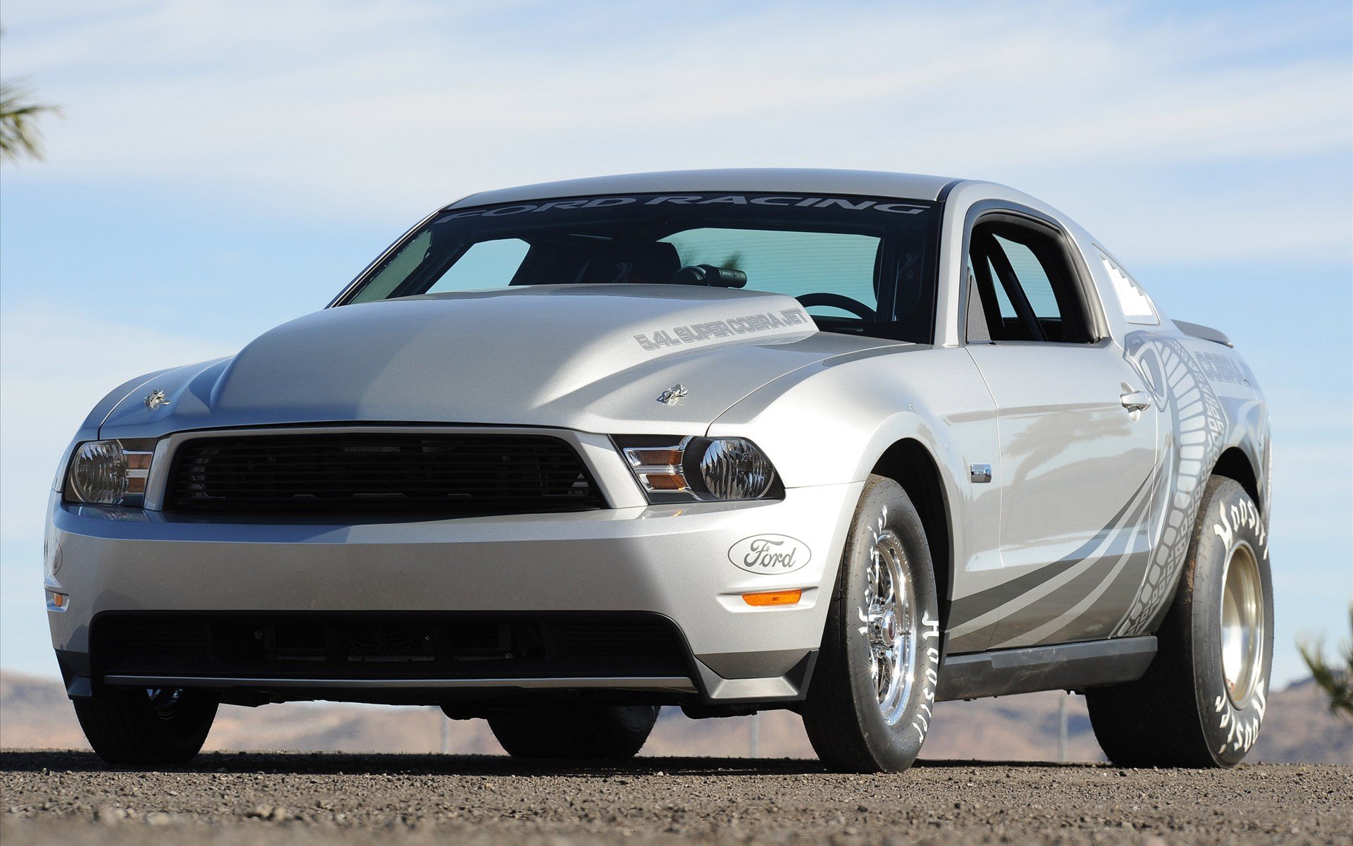 2010 ford 5.4 super cobra getti mustang