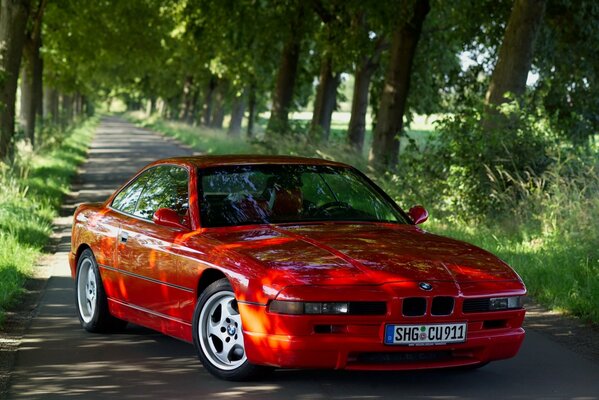 Voiture roue rouge route herbe arbres