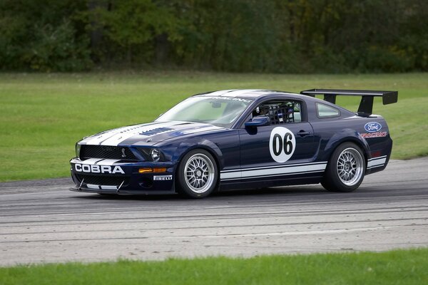 Cobra negra con Spoiler, autoralli