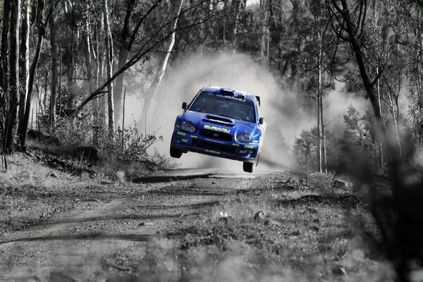 Subaru fait un saut dans une forêt déserte