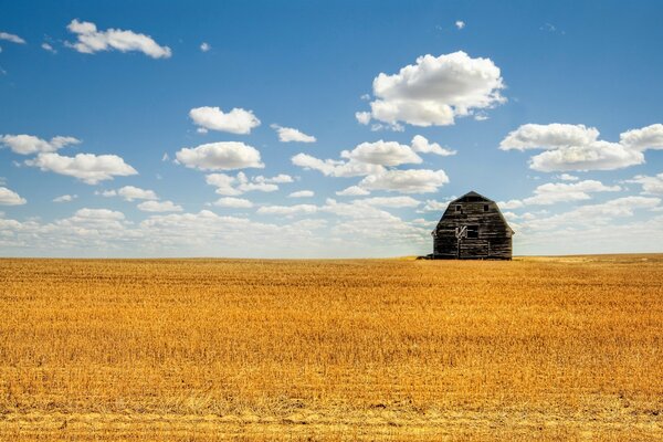 Barn in the summer in the field against the background of clouds