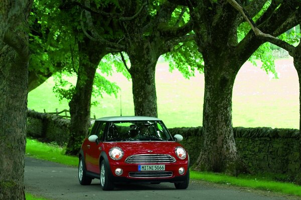 Voiture rouge dans le parc de la ville