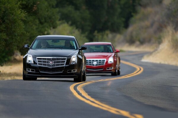 Samochody Cadillac na tle drzew i drogi