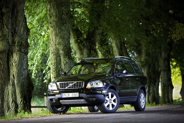 Black Volvo in a natural environment