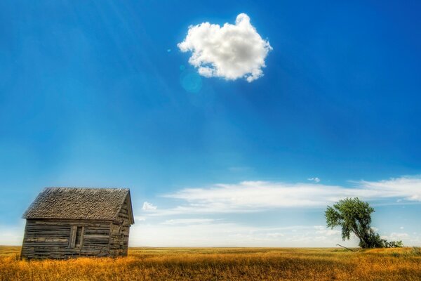 A house and a tree in a field in the sky clouds