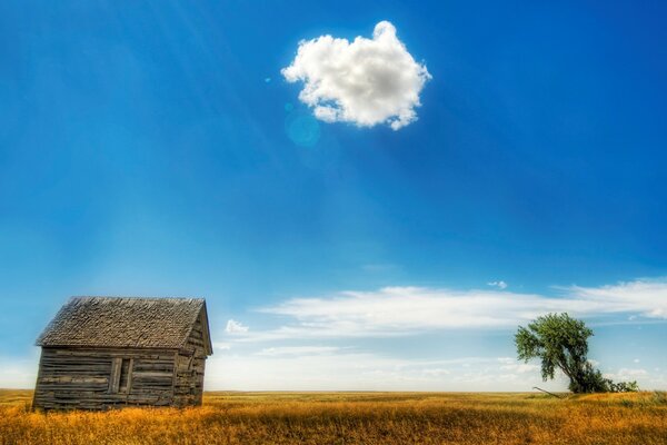 Casa y árbol en el campo en las nubes del cielo