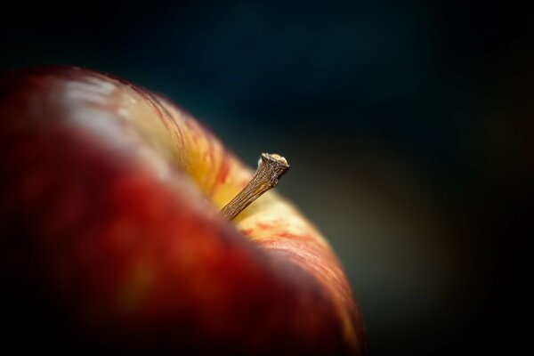 Macro d une pomme. Queue de cheval sur fond sombre