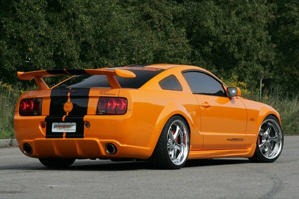 Orange handsome man resting ford mustang