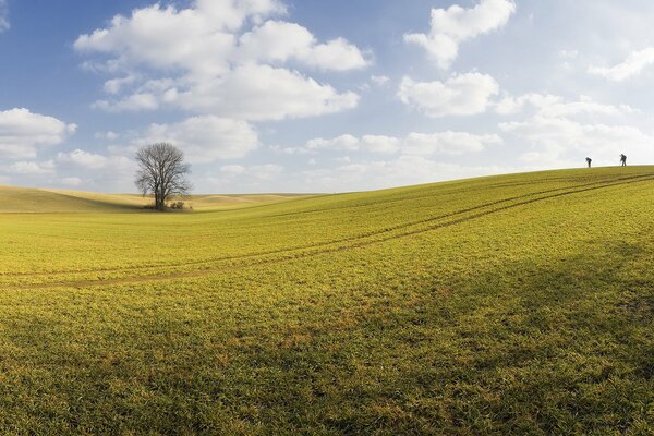 Calm and peaceful spring landscape