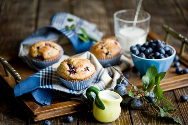 Muffins de arándanos en una bandeja