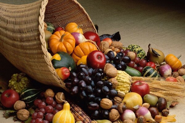 Vegetables and fruits in the basket