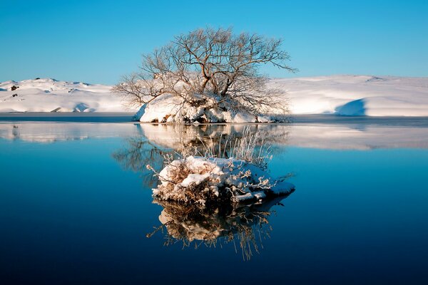 Winter landscape of a non-freezing lake