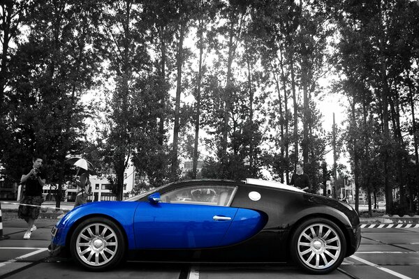 Bugatti Veron in blue and black body